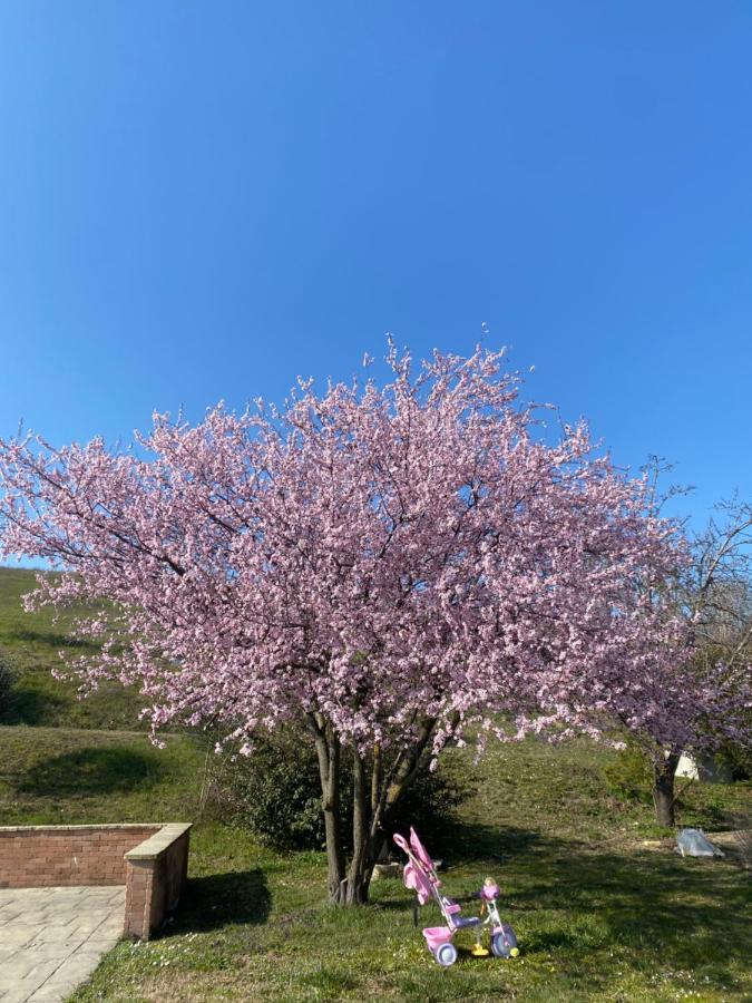Case Crovina 살소마지오레테르메 외부 사진