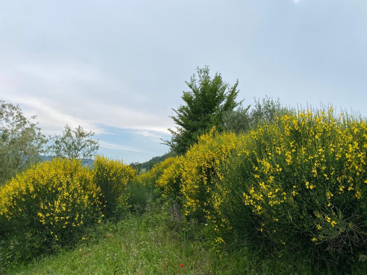 Case Crovina 살소마지오레테르메 외부 사진